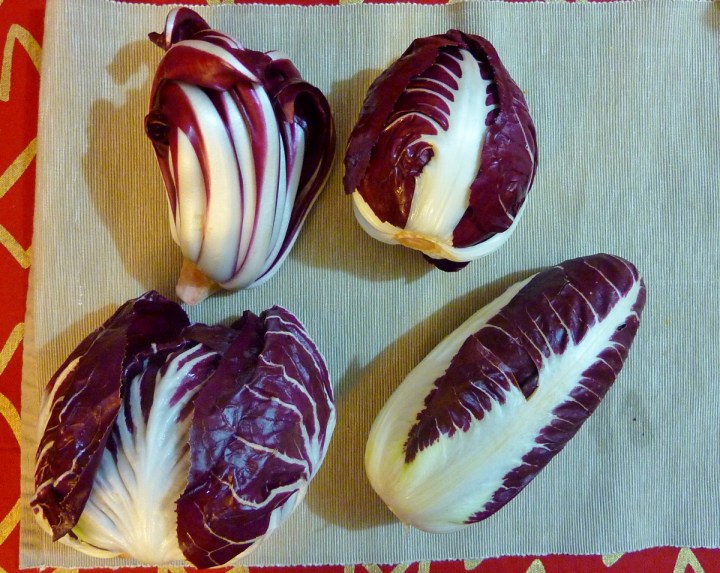 Four types of radicchio found in Italy