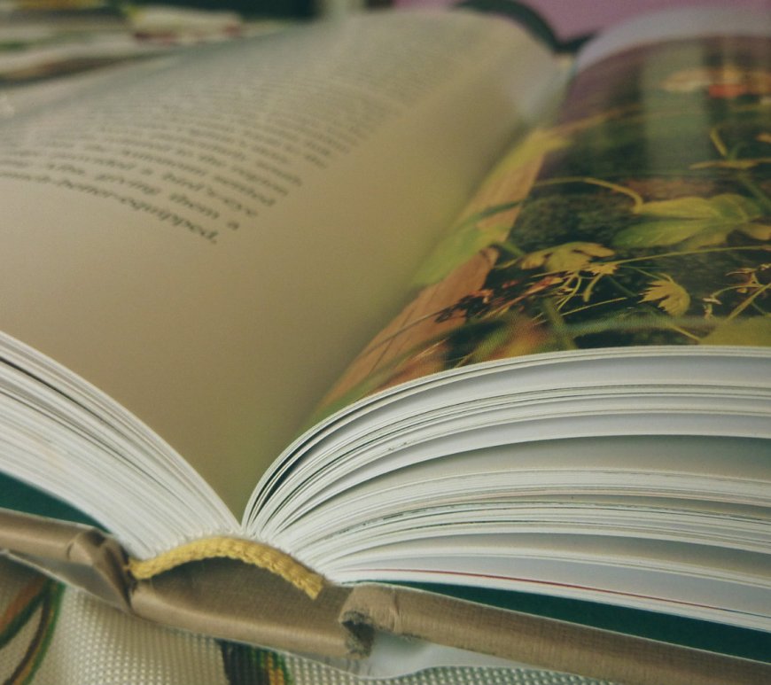 Labor of Love by Suzanne Hoffman