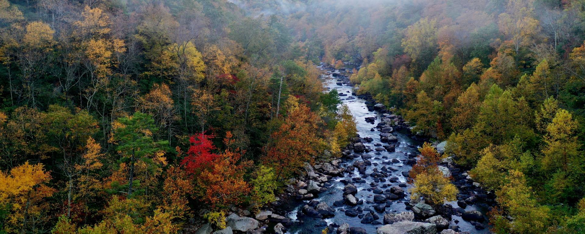 Photo by Mitchell Kmetz on Unsplash