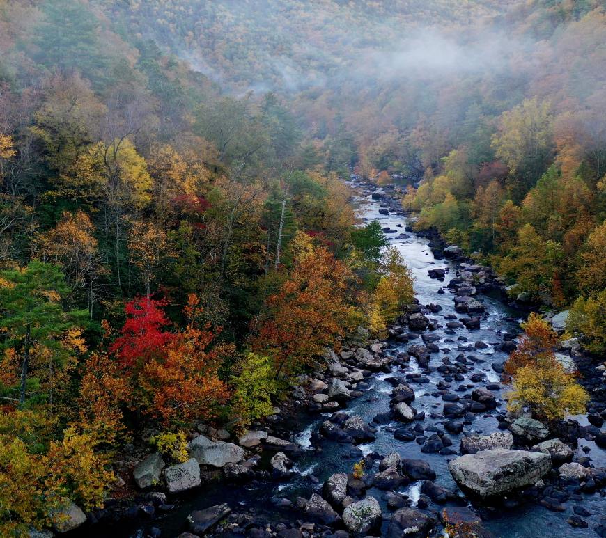 Photo by Mitchell Kmetz on Unsplash