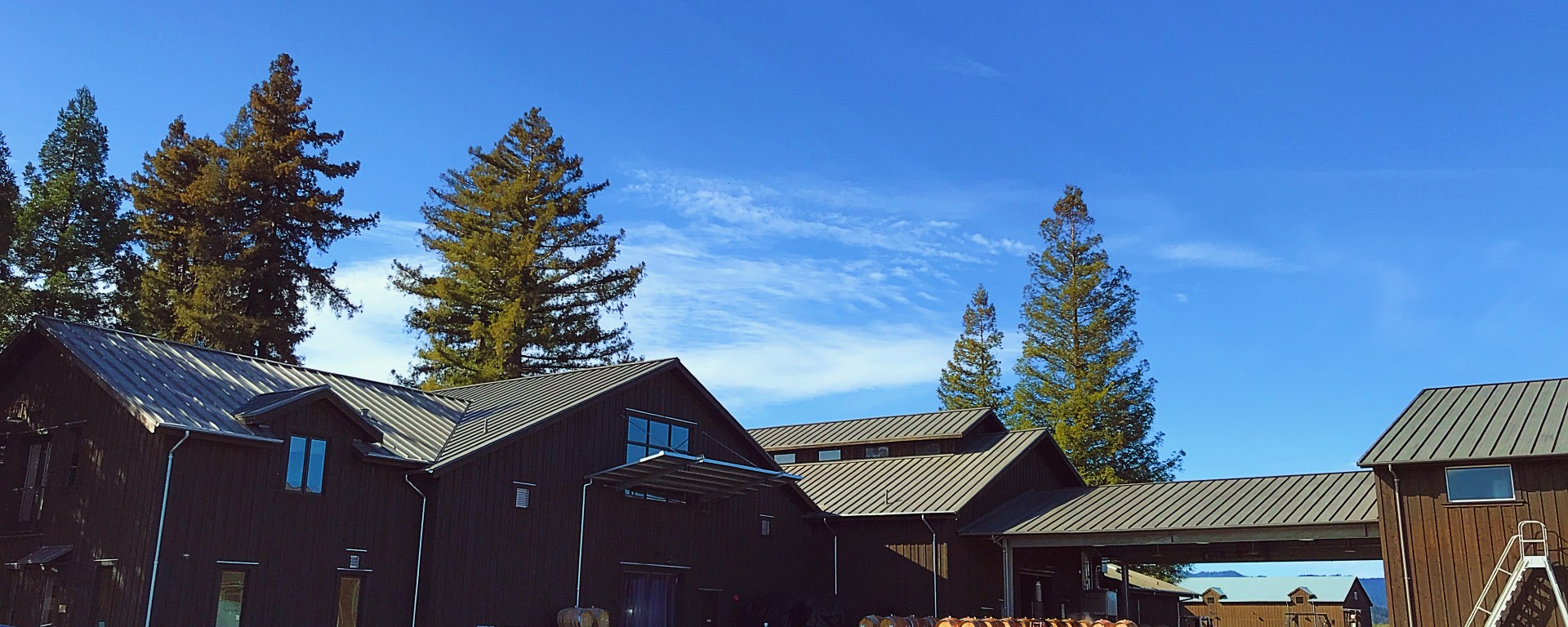 Sequoia Grove Winery