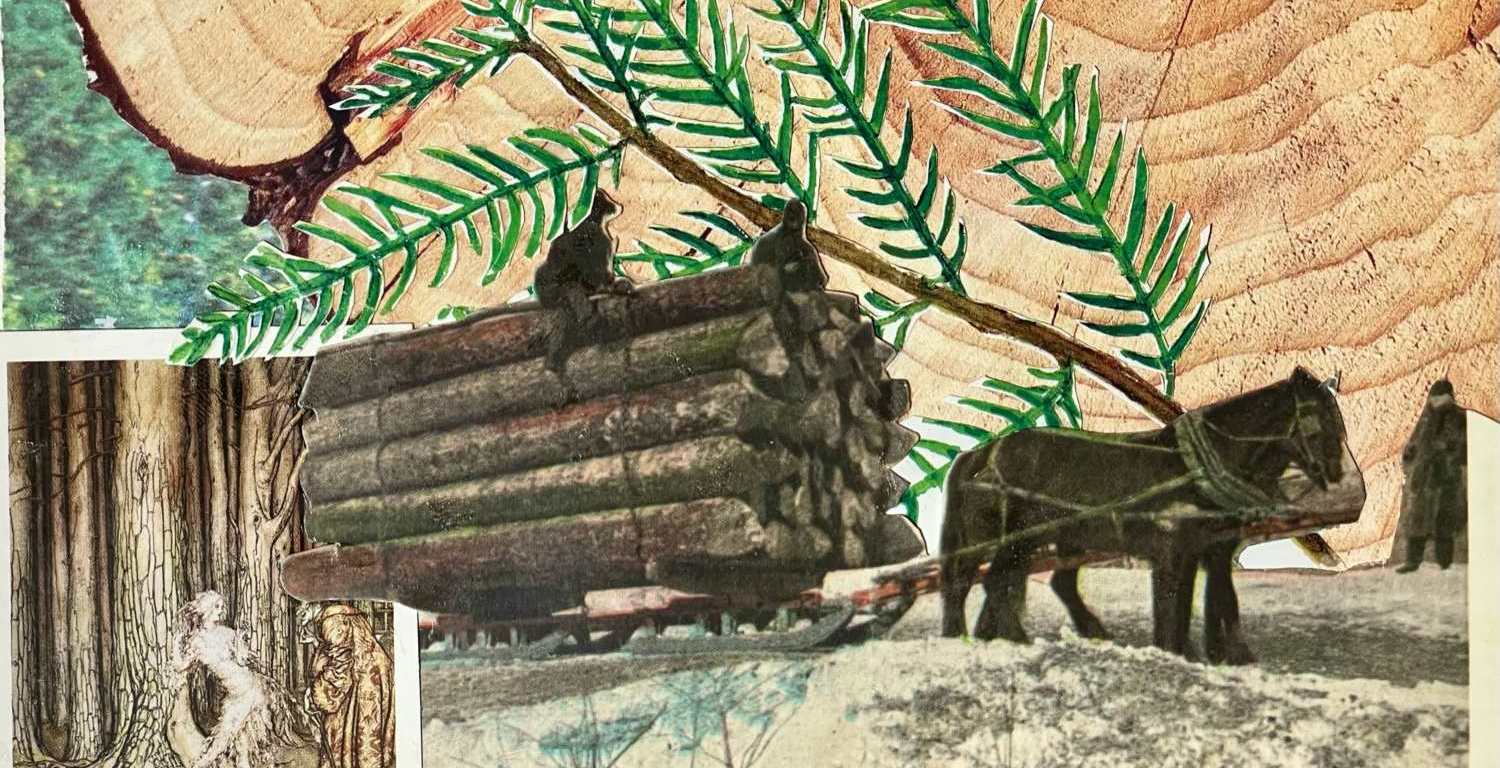 Over-editing, hand-cut collage by Diana Zahuranec